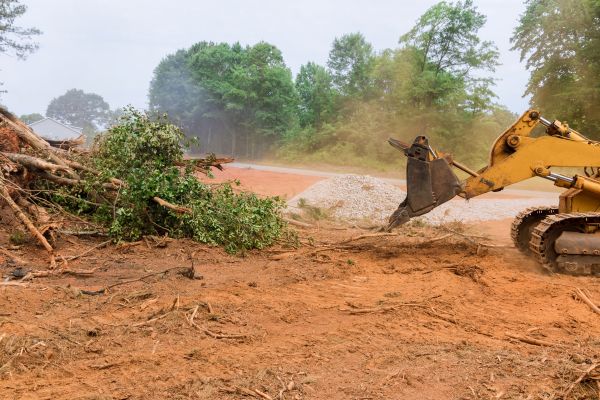 Ground Clearing in Sumter