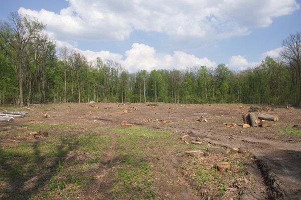 Cost of Pasture Clearing in Sumter