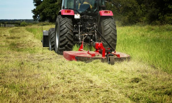 Brush Clearing Service in Sumter