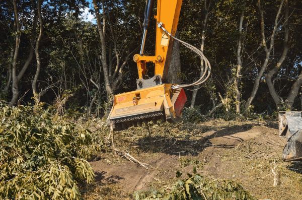 Brush Removal Service in Sumter