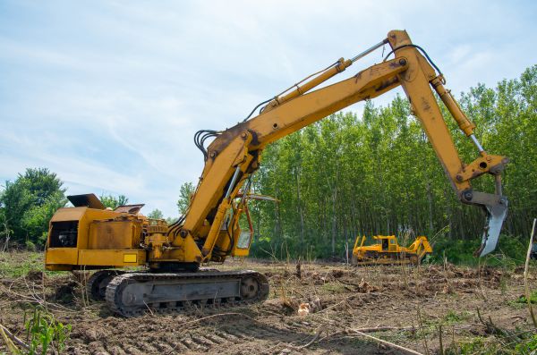 Cost of Farm Clearing in Sumter