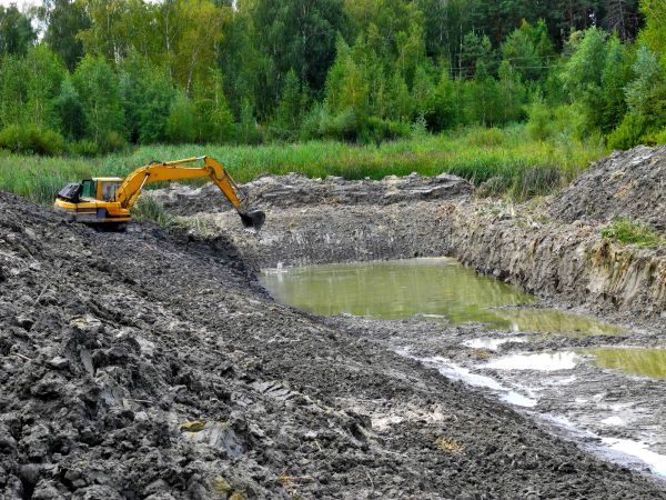 Cost of Lake Lot Clearing in Sumter