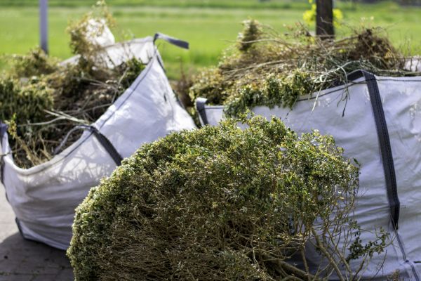 Bushes Clearing in Sumter
