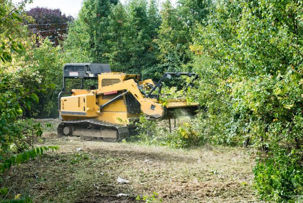 Cost of Pathway Clearing in Sumter