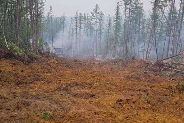 Cost of Hill Clearing in Sumter