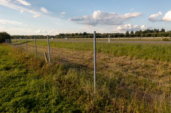 Cost of Property Line Clearing in Sumter