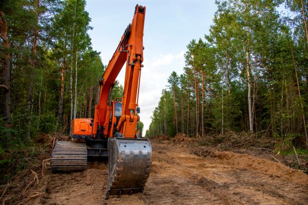 Cost of Backhoe Land Clearing in Sumter