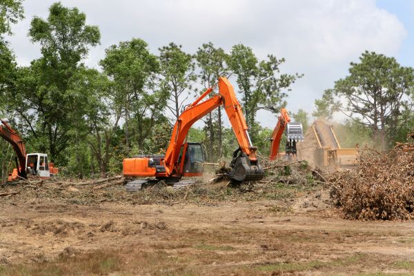 Cost of Commercial Lot Clearing in Sumter