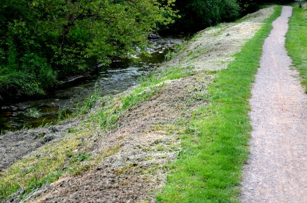 Cost of Trail Cutting in Sumter